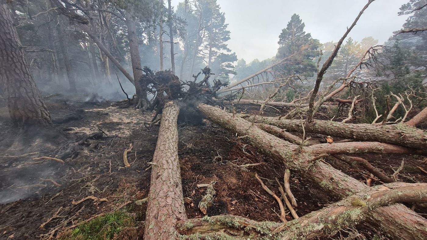Damage caused by the wildfire. Photo courtesy of Forestry and Land Scotland